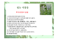 [웰빙]식물과 웰빙 소비트렌드-8