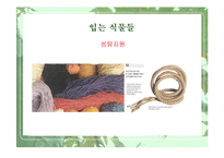 [웰빙]식물과 웰빙 소비트렌드-9