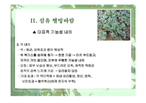 [웰빙]식물과 웰빙 소비트렌드-15