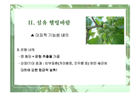 [웰빙]식물과 웰빙 소비트렌드-16