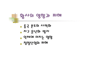[대기오염]지구환경문제의 원인과 대책(황사,오존층파괴)-5
