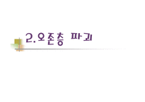 [대기오염]지구환경문제의 원인과 대책(황사,오존층파괴)-10