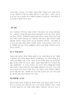 [경영학]중국의 부동산 투자-중국의 새 부동산정책이 미치는 영향-4