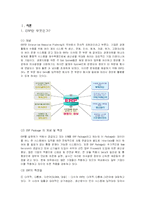 [경영정보시스템]ERP성공사례와 실패사례-3