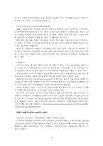 [대중문화론]안티문화에 관한 고찰-2