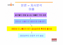 [사회과학]싸이월드의 마케팅 전략 사례분석(A+레포트)-18