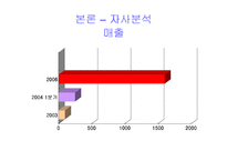 [사회과학]싸이월드의 마케팅 전략 사례분석(A+레포트)-20