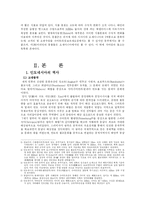 인도네시아 국가연구-4
