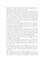 인도네시아 국가연구-9