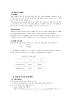인도네시아 국가연구-13