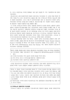 인도네시아 국가연구-17