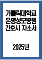 [가톨릭대학교 은평성모병원 자기소개서] 2025년 가톨릭대학교 은평성모병원 간호사 자소서 합격예문 가톨릭대학교 은평성모병원 간호사 자기소개서 가톨릭대학교 은평성모병원 자소서-1