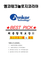 앰코테크놀로지코리아 면접기출(최신)+꿀팁[최종합격!] +1000대기업 1차 직무면접 + 2차 임원면접 최종합격자 답안-1