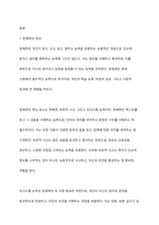 문해력에 대한 이해 및 균형적 접근법의 중요성을 기술하시오-2