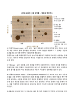 사업 포트폴리오 분석(성장-점유율 매트릭스, 경험곡선분석, 산업매력도-기업강점모델, 시장영향분석모델)-3