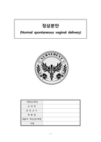 19 정상분만 (Normal spontaneous vaginal delivery)-1