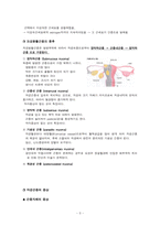 20 자궁평활근종 (leiMyoma of Uterus)-3