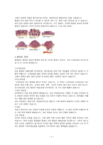 7 폐암 (Lung Cancer)-3