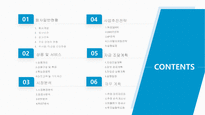 유통업 사업계획서 (휴대용 다기능 마사지기 예제)-2