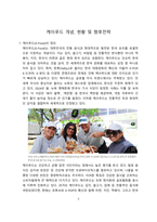 케이푸드 개념, 현황 및 향후전략 [케이푸드,K푸드,K-푸드]-2