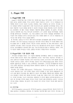 [교육심리학] Piaget인지발달 이론과 Vygotsky인지발달 이론의 비교-2