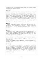 [교육심리학] Piaget인지발달 이론과 Vygotsky인지발달 이론의 비교-3