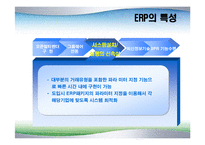 [경영정보]ERP 사례분석-Northern Digital Inc.를 중심으로-10