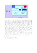 [국제경영]아동산업- FOCE의 글로벌 마케팅 분석-9