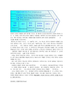 [국제경영]아동산업- FOCE의 글로벌 마케팅 분석-10