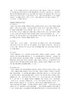 [국제경영]아동산업- FOCE의 글로벌 마케팅 분석-12