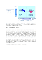 [국제경영]아동산업- FOCE의 글로벌 마케팅 분석-14
