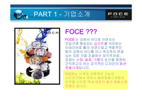 [국제경영]아동산업- FOCE의 글로벌 마케팅 분석-3