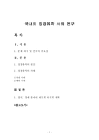[정치학]국내외 정경유착 사례 연구-1