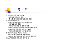 [국제마케팅]JYP 엔터테인먼트 마케팅 사례 분석-2