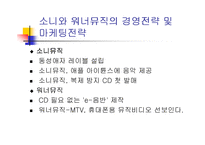 [국제마케팅]JYP 엔터테인먼트 마케팅 사례 분석-10