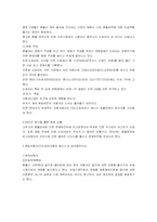 [국제재무]현대자동차의 경영전략 분석-환리스크 관리를 중심으로-7