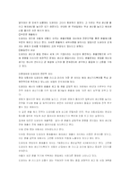[국제재무]현대자동차의 경영전략 분석-환리스크 관리를 중심으로-9