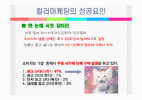 [마케팅]컬러마케팅 분석-11