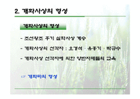 [한국의 역사와 문화]온건개화파와 급진개화파 비교 분석-5