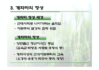 [한국의 역사와 문화]온건개화파와 급진개화파 비교 분석-6