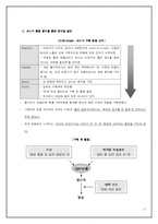 [마케팅전략] ㈜롯데칠성음료 `미녀는 석류를 좋아해` 현 시점의 마케팅 전략 분석을 통한 향후 전략 제안-11