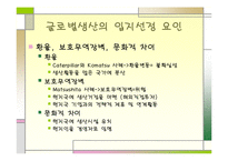 [국제경영학]생산 및 연구개발활동의 세계적인 배치와 조정-8