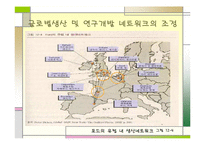 [국제경영학]생산 및 연구개발활동의 세계적인 배치와 조정-12