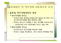 [국제경영학]생산 및 연구개발활동의 세계적인 배치와 조정-13
