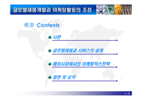 [국제경영학]글로벌제품개발과 마케팅활동의 조정-2