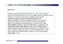 [경영학]KT&G의 RAISON 담배의 마케팅전략 분석-7