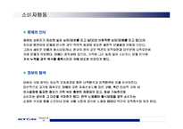 [경영학]KT&G의 RAISON 담배의 마케팅전략 분석-18