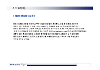 [경영학]KT&G의 RAISON 담배의 마케팅전략 분석-19
