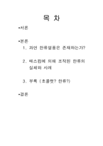 [한류열풍] 한류열풍에 관한 연구-2