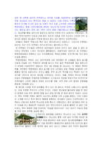[기행문,감상문,공산성,백제역사] 백제역사의 빛 1 - 공산성-2